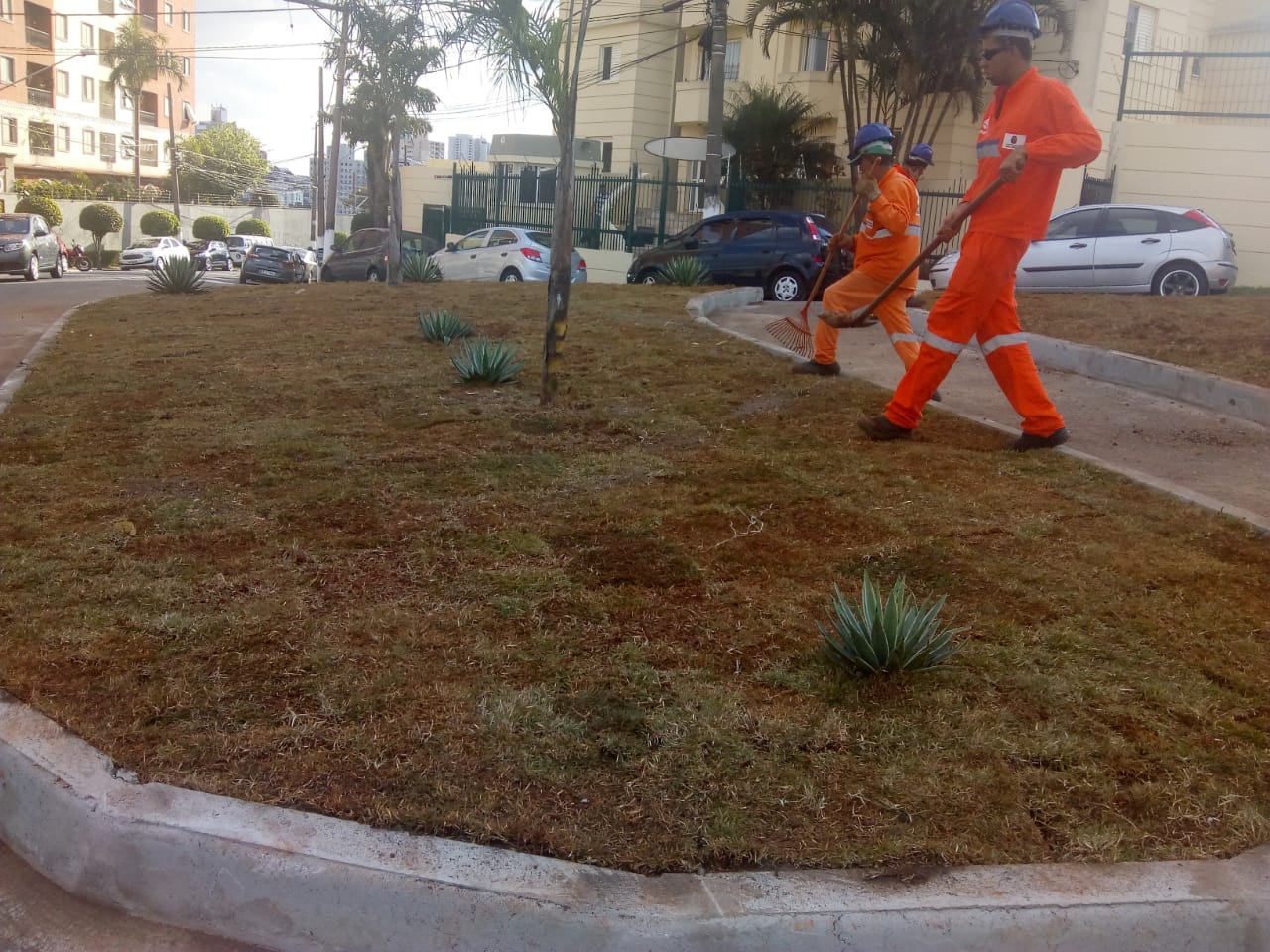 Imagem mostrando os funcionários da prefeitura implantando grama na rotatória 
